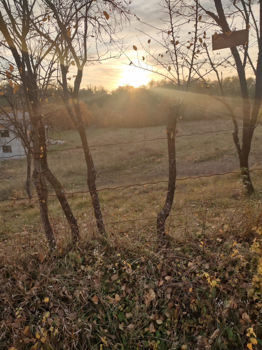 Vând teren 2532 mp intravilan usor negociabil