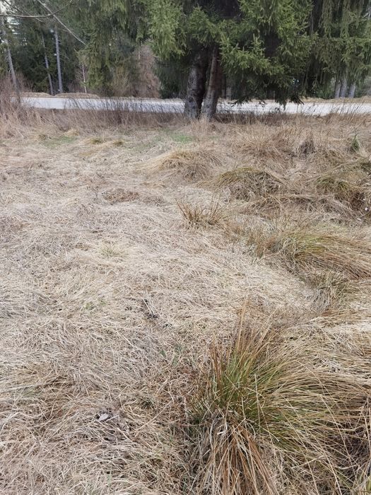 Продава се Земеделски имот в Сърница -  кв.м за 45 €/дка - Снимка #4