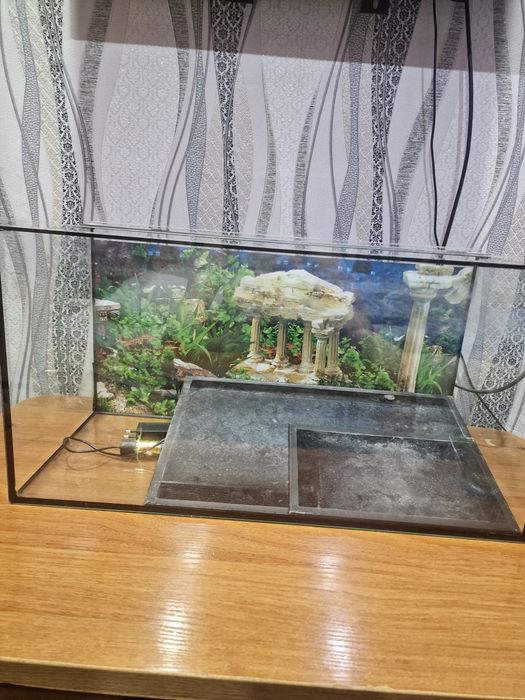 Аквариум для рыбок