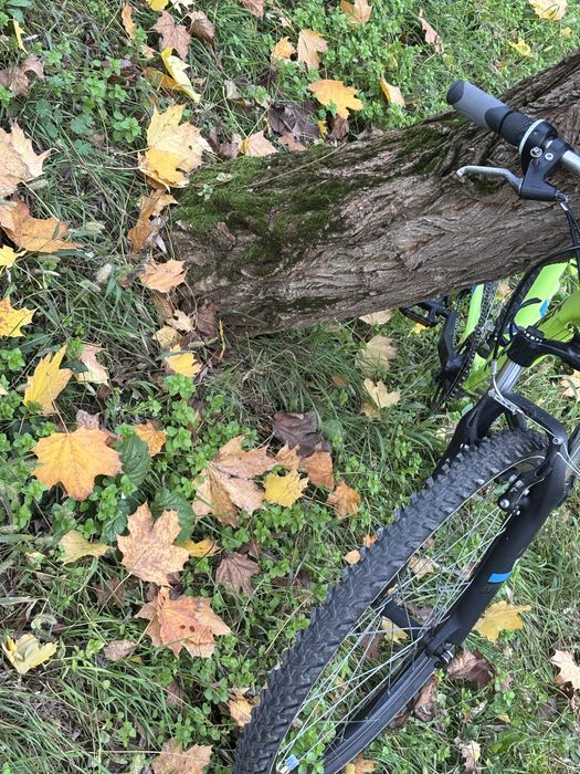 Rokrider st100 green