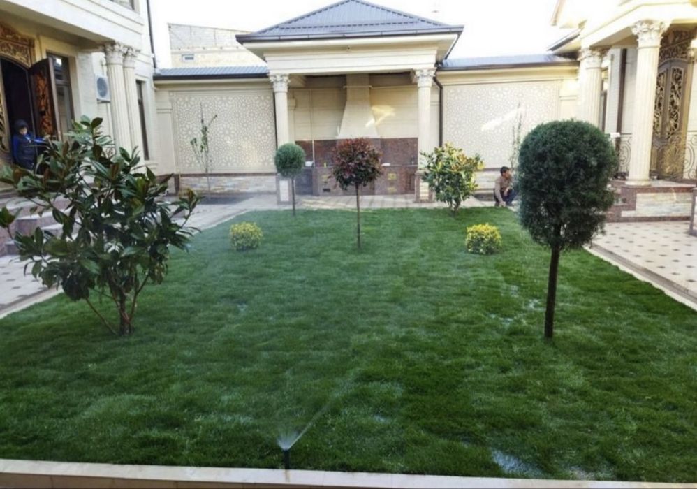 Посевной газон + рулон