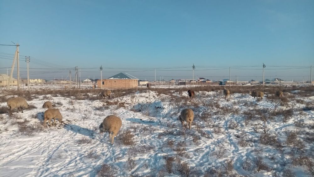 Участок 30 соток