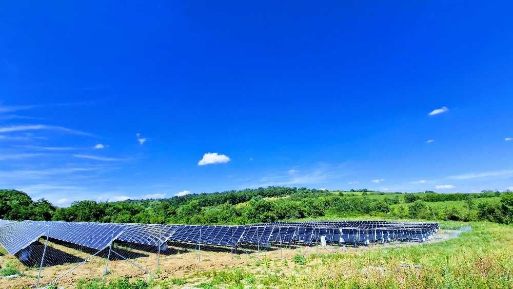 Продава се Парцел в с. Иново, Област Видин - 12000 кв.м за 113 €/кв.м - Снимка #5