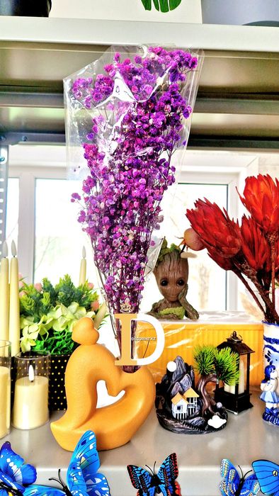 Гипсофила, Лагурус,Эвкалипт стабил.цветы,