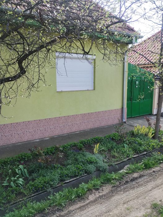 casa individuala
