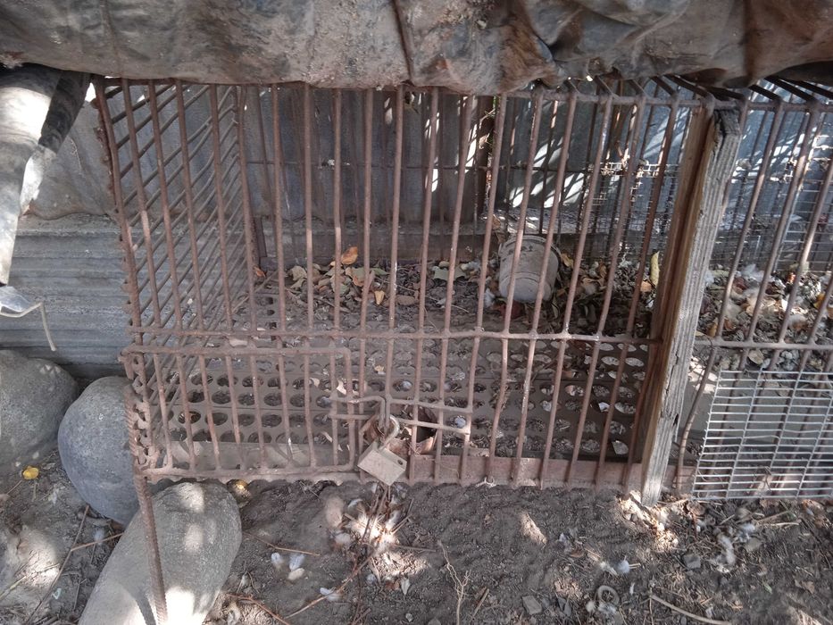 продам клетку для кролов