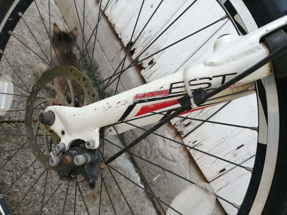 Bicicleta Apollo Phaze