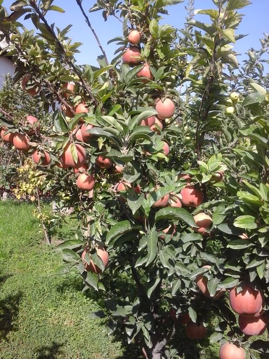 Продам 3 комн. добротный дом