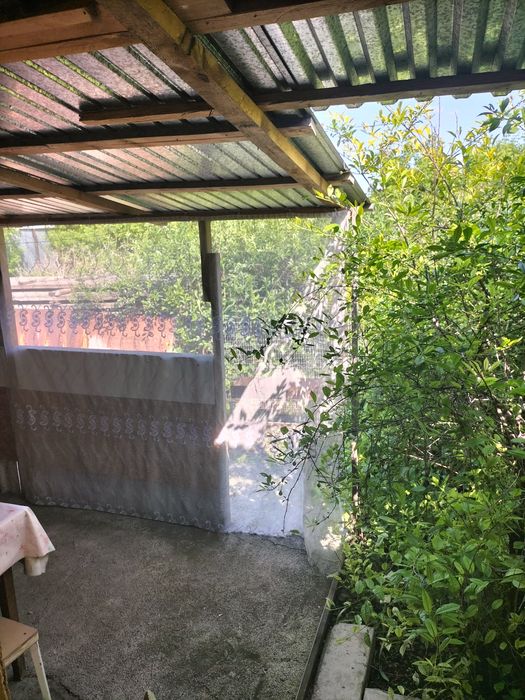Аренда домика в Боровом