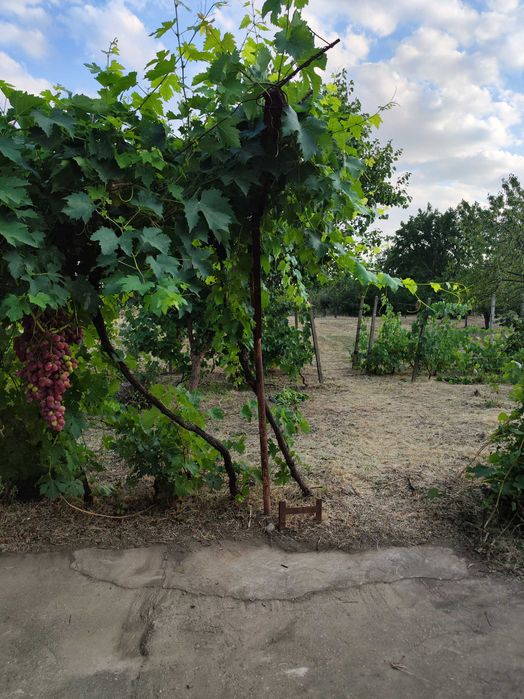 Продава се къща в с.Ветрен