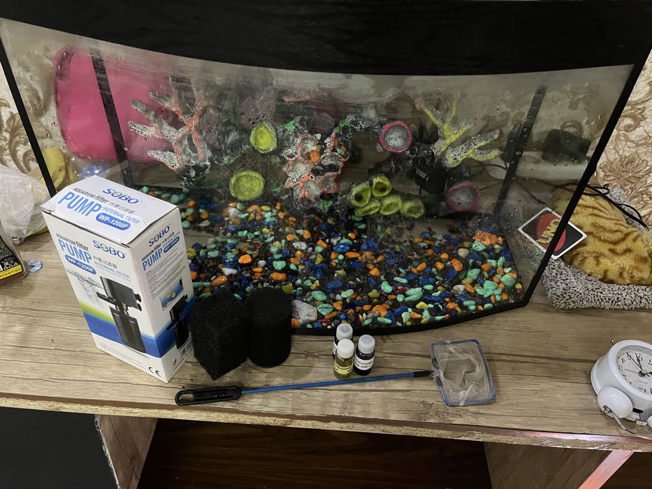 Akvarium baliqlari bilan sotiladi
