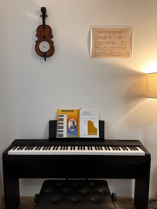 Lectii pian, teorie muzicala