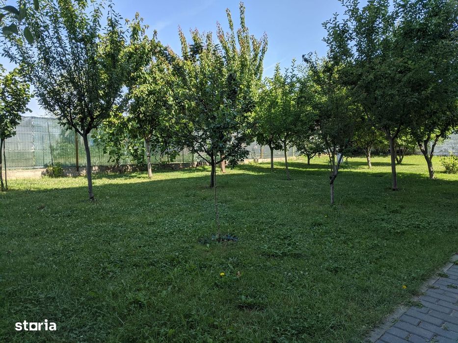 Garsonieră Spațioasă la Curte