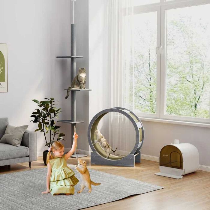 PawHut Колело за упражнения за котки, 91 см