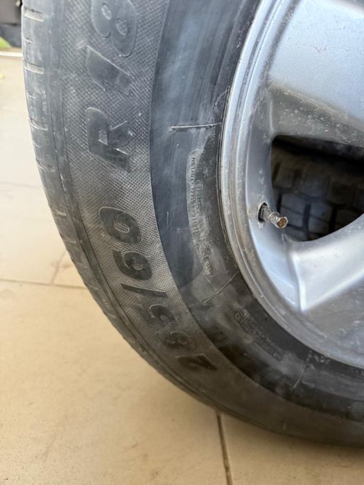 шины summer kormoran