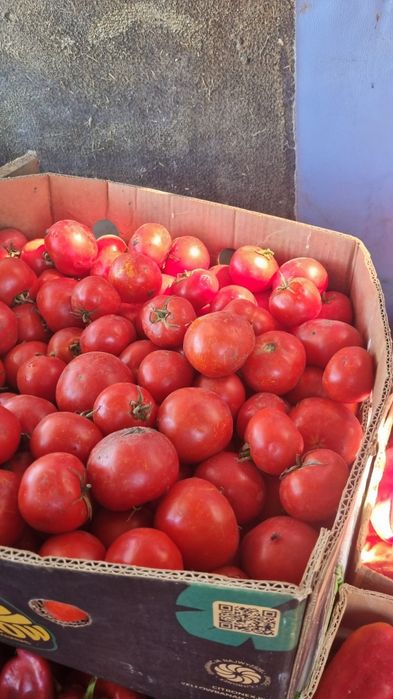 Vand legume, pepeni rosii si galbeni