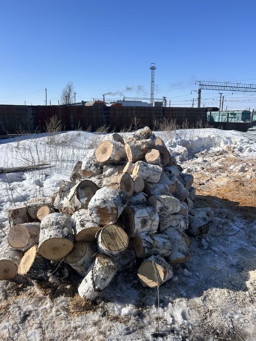Продам дрова береза .