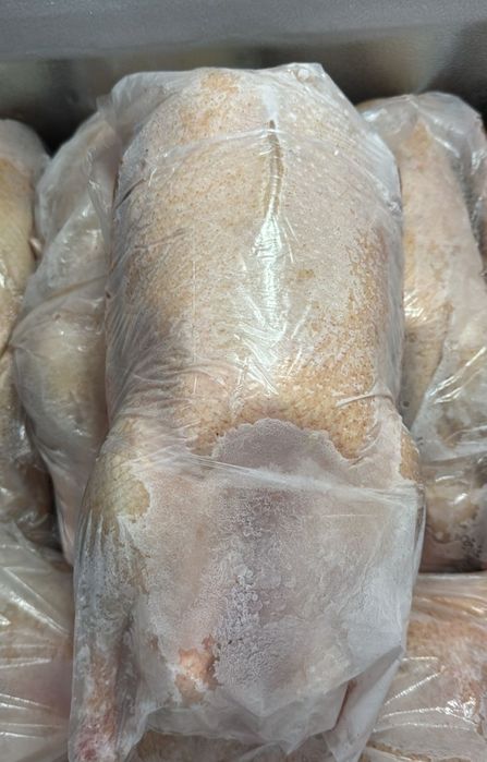 Домашние гуси бройлер! Оптом и в розницу