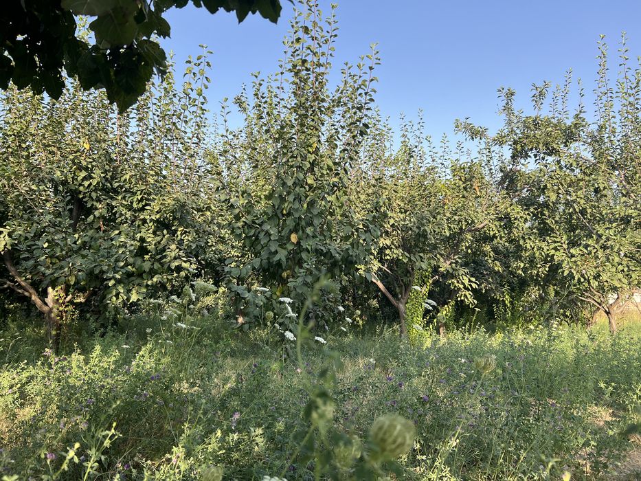 Жер участкесі сатылады