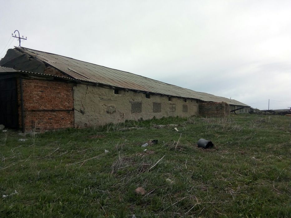 Продам дворы сСекисовка