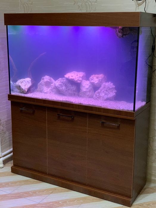 Akvarium dókoni Aquashop