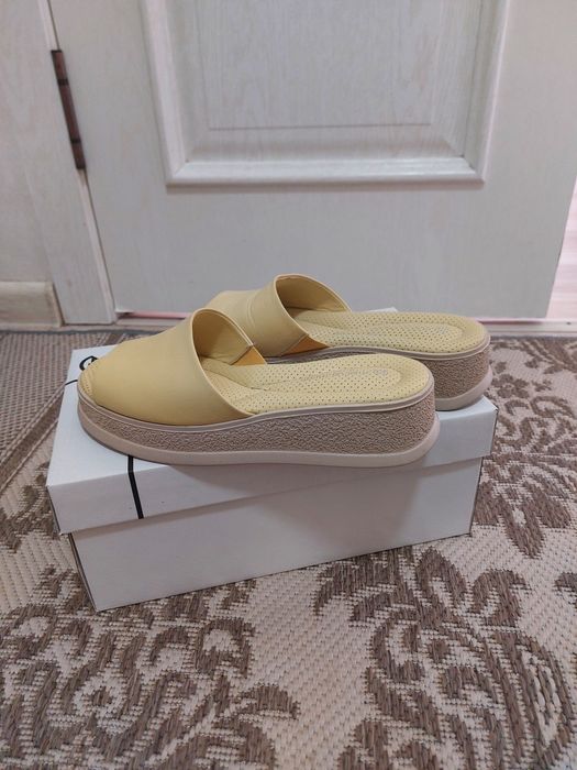 Шлепка турецская