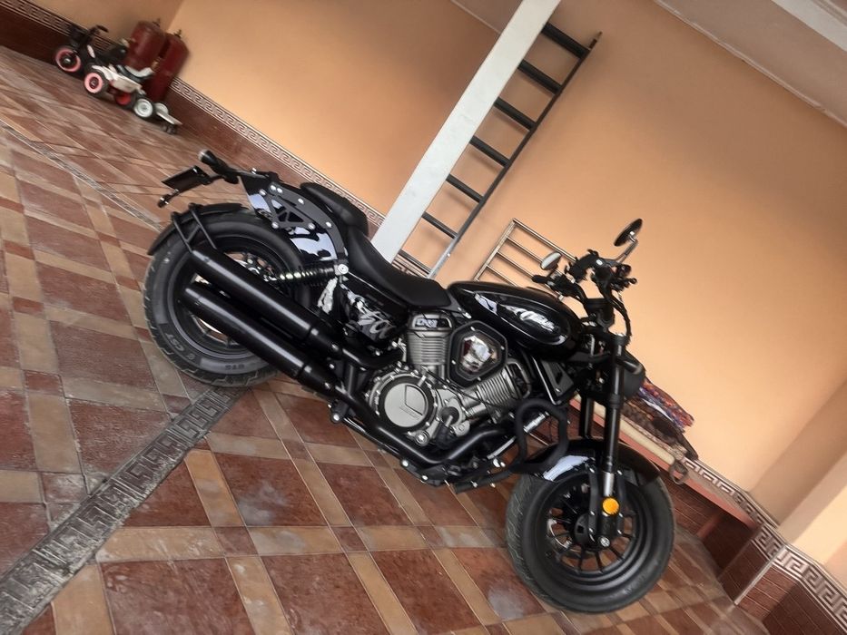 Benda chinchilla 500kb 5500doler