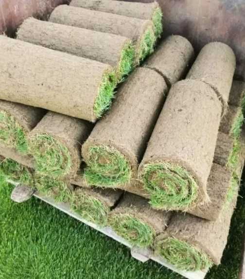 Gazon Verde Intens pentru Spații Rezidențiale