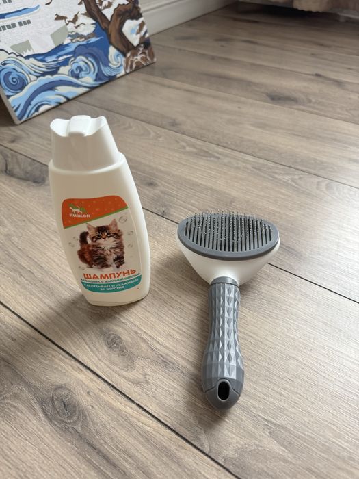 Бенгальский котенок