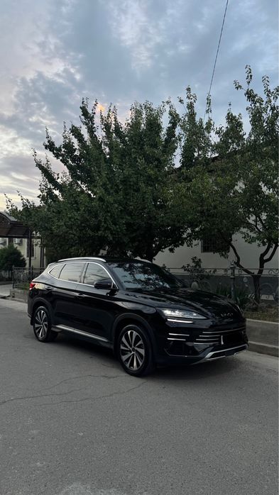 Byd chempion gibrit 150