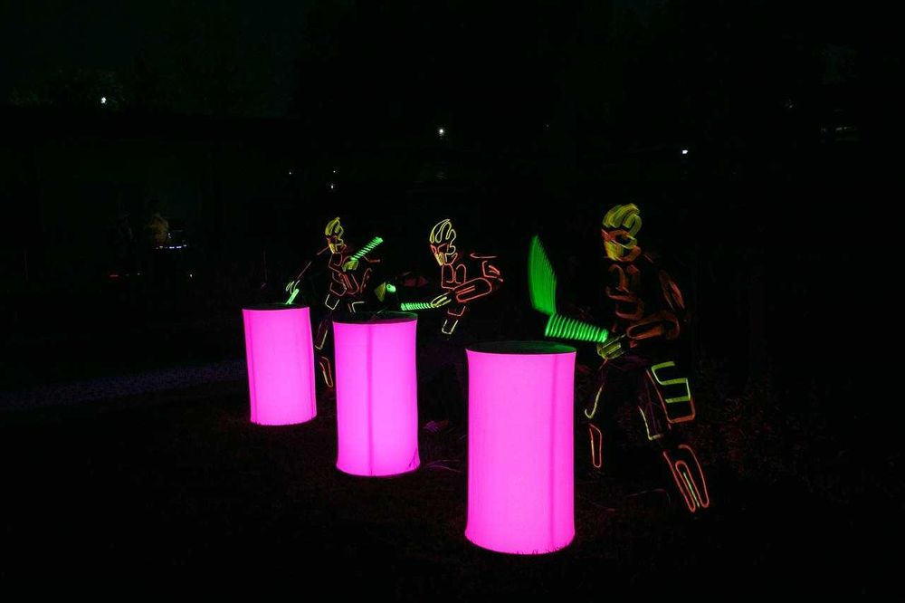 Лазерное - Неоновое - Диодное шоу (Готовый бизнес)