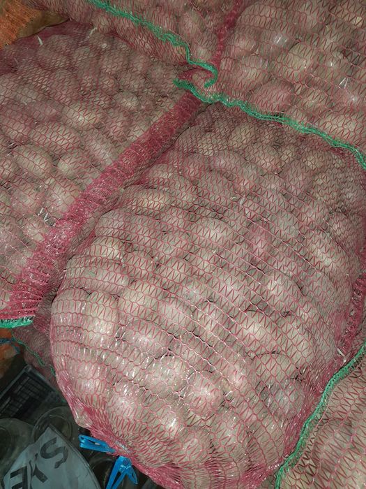 Cartofi samanta rosu Labella alb Ultra