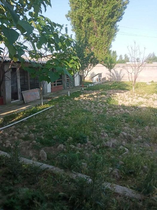 Toshkent viloyati Yangiyo‘l Lenizm mahallasida 8 sotixli yer sotiladi