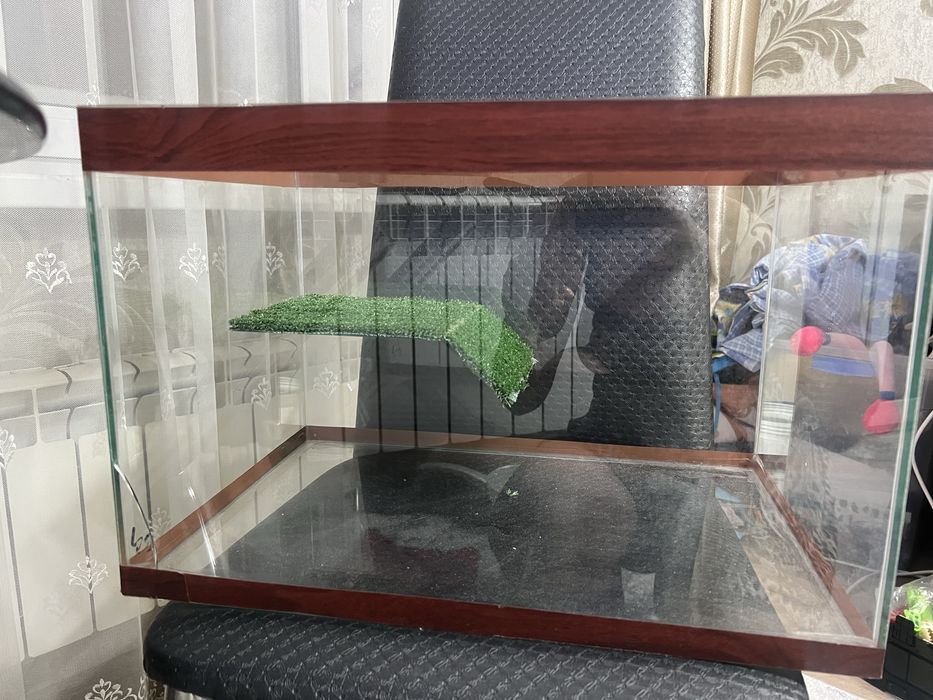 Продажа аквариума