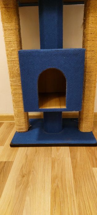 Ansamblu joaca Pisici