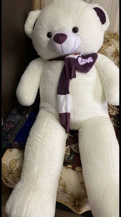 Медведь продам 20к