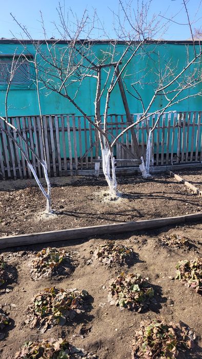 Продам дачу район Пестрого