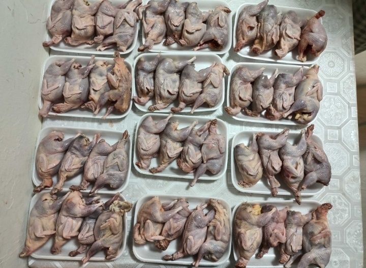 Перепелиные яйца 35 Т