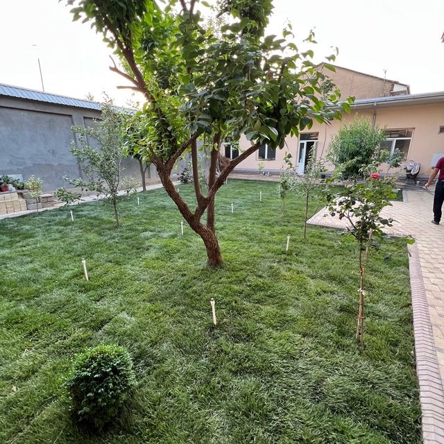 Gazon Optim Cheklanmagan Miqdorda