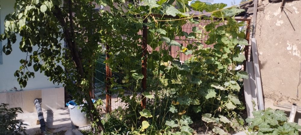 Продаются участок срочно