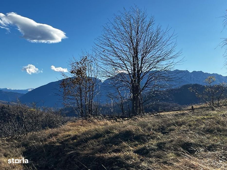 Teren extravilan 2ha, priveliste panoramica spre toti muntii