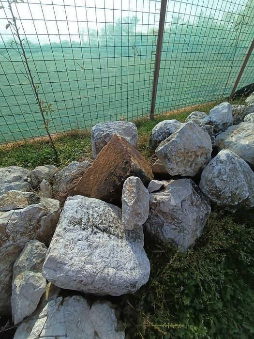 Piatra ornamentala grădină