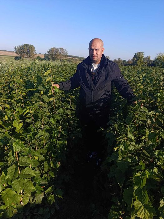 Aluni pentru plantare | 5 lei angro | 10 lei/bucată