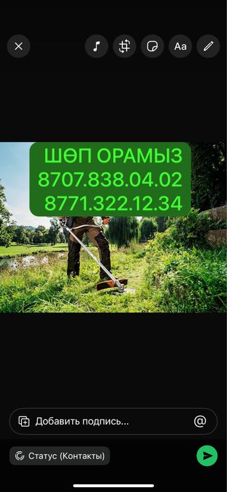 Шөп Ору Тазалау Алып кету