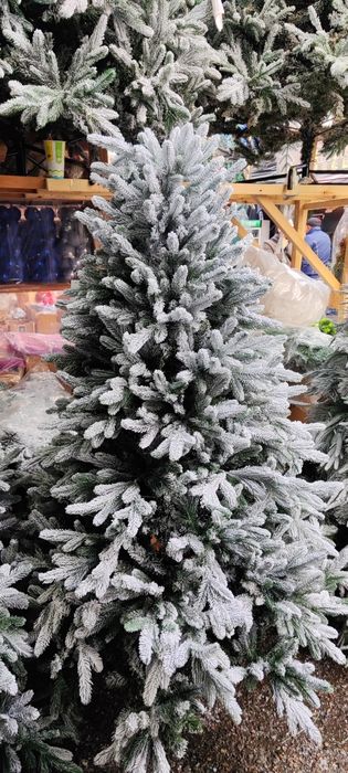 Archalar optim narxlarda