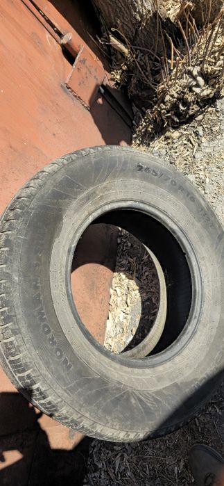 нокиан 4 баллона