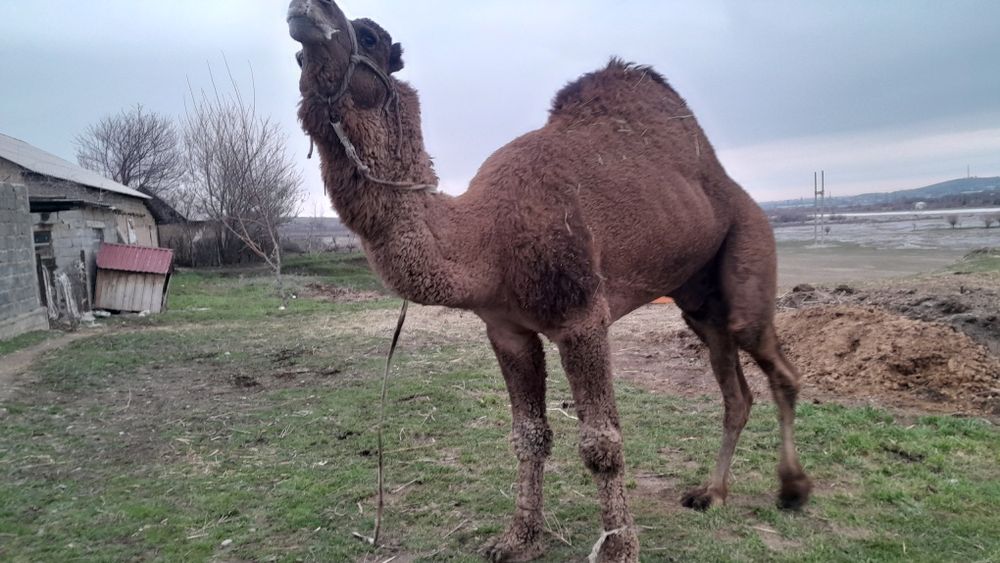 Әйелдер аяқтарының эротикалық фотосуреттері