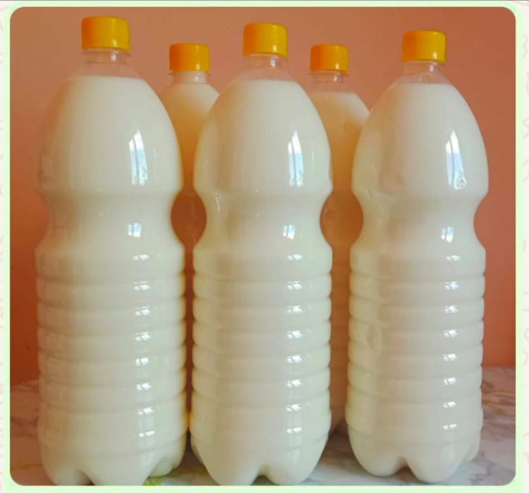 Әйелінің интимдік фотоальбомы