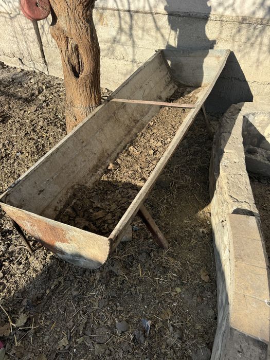 Мол охури сотилади