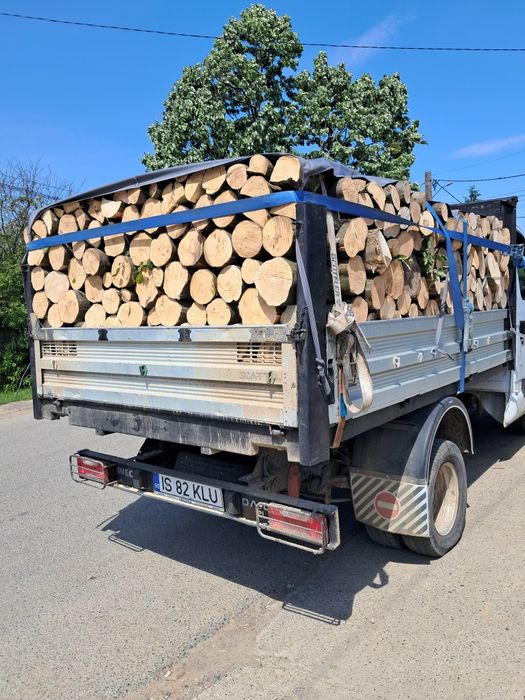 Lemne de foc Barnova